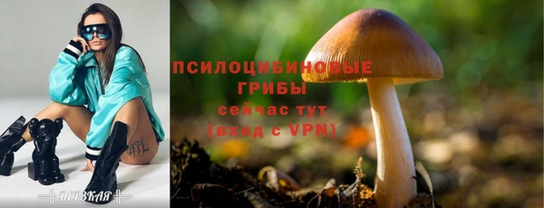 ешки Бородино