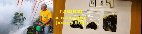 ешки Бородино