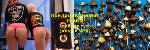 ешки Бородино