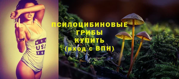 ешки Бородино
