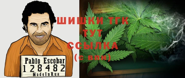 ешки Бородино