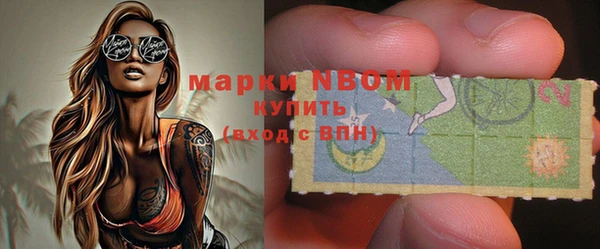 ешки Бородино