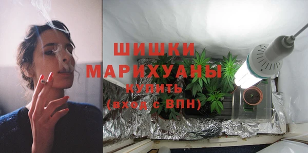 ешки Бородино
