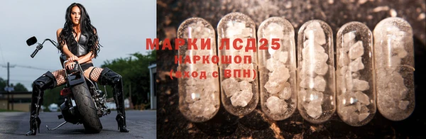spice Бронницы