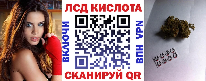 Марки N-bome 1,5мг  как найти   Мончегорск 