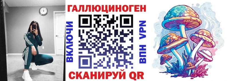 Галлюциногенные грибы Psilocybine cubensis OMG Мончегорск